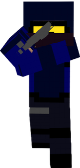 sas
