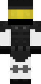 SD V2