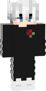 skinnew
