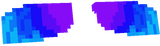 Purple and blue elytras