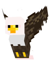 bald eagle
