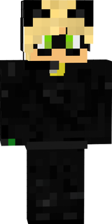 Chat Noir Gamer  2.0
