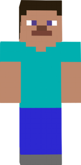 Steve 2.0