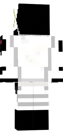 Preview of texture: SPACEX combie