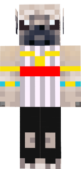 Aura pug