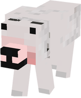 MEME DOG (EDIT)
