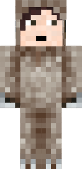 Sloth Skin