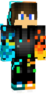 skin
