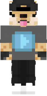 doge youtuber