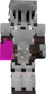 WRN SPDR KNIGHT
