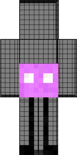KinitoPET 