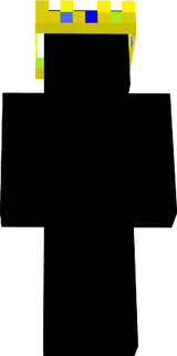 skin 2