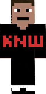 король и шут