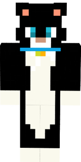 Kocourek