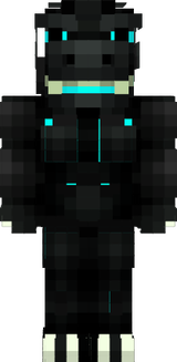 skin