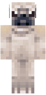 pg