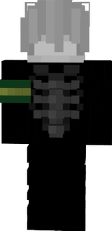 ss