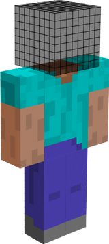steve