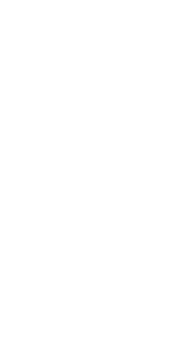 SS