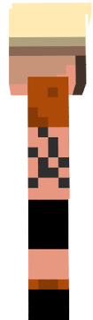 icardimmc
