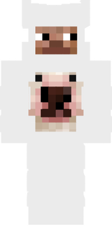 louis chupudo