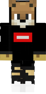mc skin