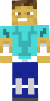 portal steve