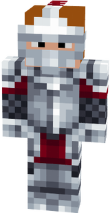 Skin medieval