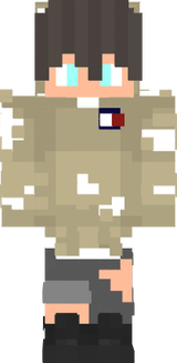 MineCraftt POSE