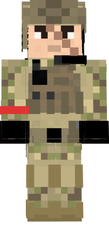 bed wars tournament skin