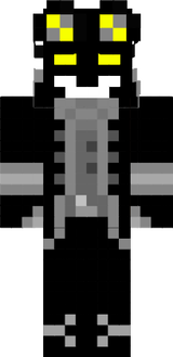 LYON 4335