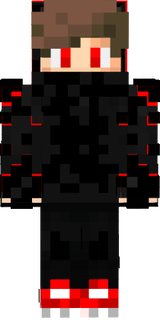 New proyect