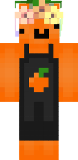 zarrasa(newimageV2)