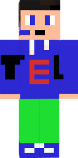 skin minecraft