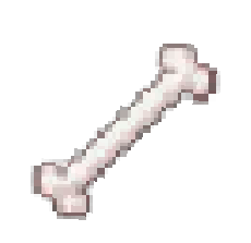 Preview of texture: bone