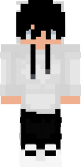 zFlash