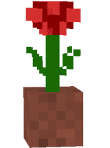 rose