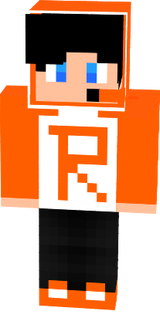 save skin
