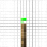 torch