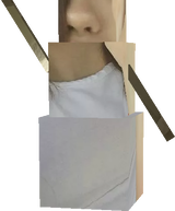 feet