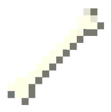 bone