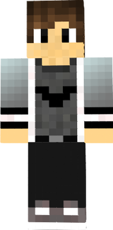 mincraft skin 