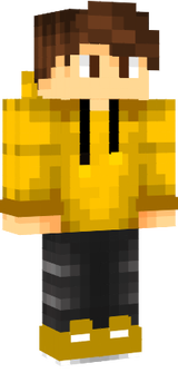 canard