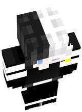 White Paladin prototype
