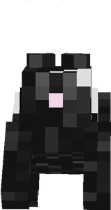 Oliva (Gunie Pig)