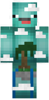 skywars skin