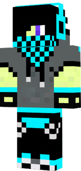 sal13