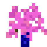 Lavender Sapling