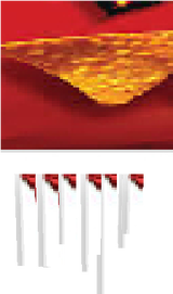 Dorito