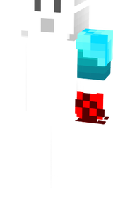 dd20